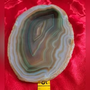 Elegant Agate Slice Decorative Accent